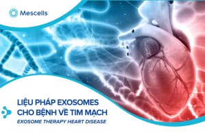 Adiponectin kích thích giải phóng exosomes làm tăng hiệu quả của liệu pháp tế bào gốc trung mô trong điều trị suy tim ở chuột
