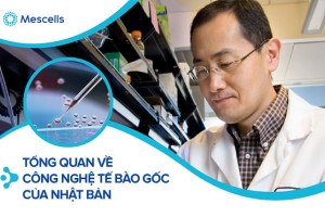 Tổng quan về công nghệ tế bào gốc của Nhật Bản: Chìa khóa trong y học tái sinh