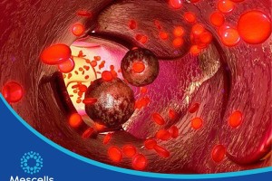 Tế bào gốc tạo máu là gì? Vai trò quan trọng và những ứng dụng điều trị bệnh lý