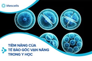Tiềm năng của tế bào gốc vạn năng trong y học