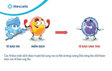 Tìm hiểu về xét nghiệm tế bào NK