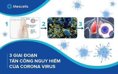 3 Giai đoạn tấn công nguy hiểm của Corona Virus