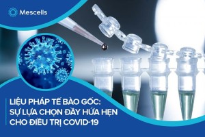 Liệu pháp tế bào gốc: Sự lựa chọn đầy hứa hẹn cho điều trị Covid-19