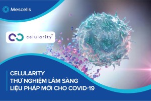 Celularity thử nghiệm lâm sàng liệu pháp tế bào mới cho covid-19