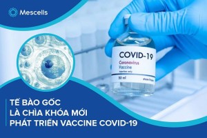 Tế bào gốc là chìa khóa mới phát triển Vaccine COVID-19
