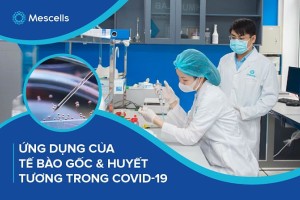 Ứng dụng tế bào gốc và huyết tương có chứa kháng thể chống Sars-CoV-2 trong điều trị Covid-19