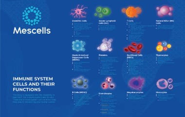 Tìm hiểu về tế bào miễn dịch
