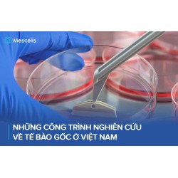 Công nghệ tế bào gốc ở Việt Nam vươn tầm thế giới
