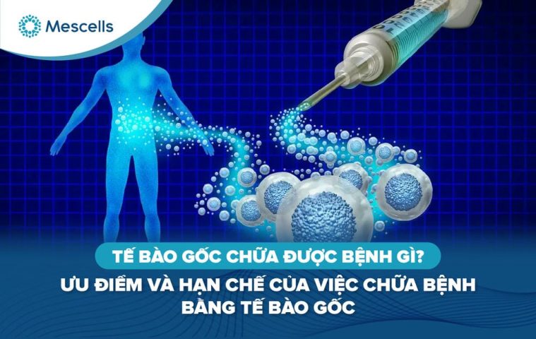 Tế bào gốc chữa được bệnh gì-01
