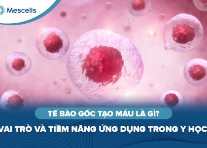 Tế bào gốc tạo máu là gì-01