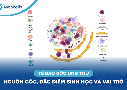 Tế bào gốc ung thư-01