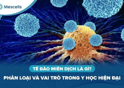 Tế bào miễn dịch là gì-01