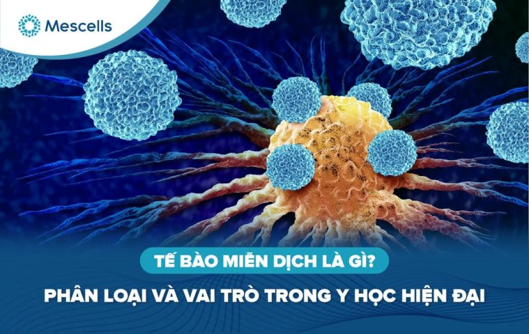 Tế bào miễn dịch là gì-01