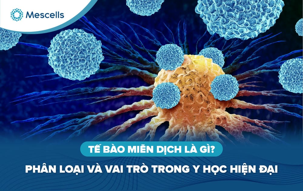 Tế bào miễn dịch là gì-01