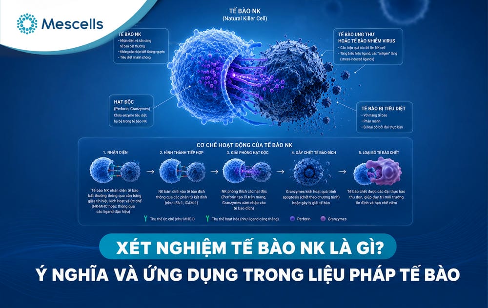 Xét nghiệm tế bào NK-01