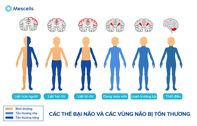 cay-te-bao-goc-cho-tre-bai-nao-2