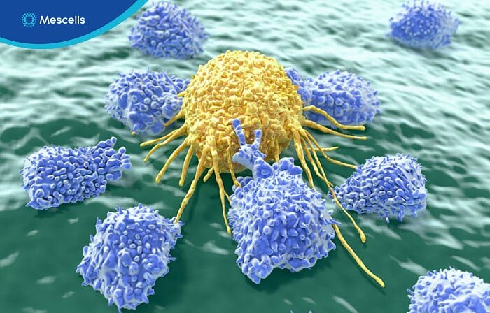 lieu-phap-te-bao-moi-cho-covid-19-3-1