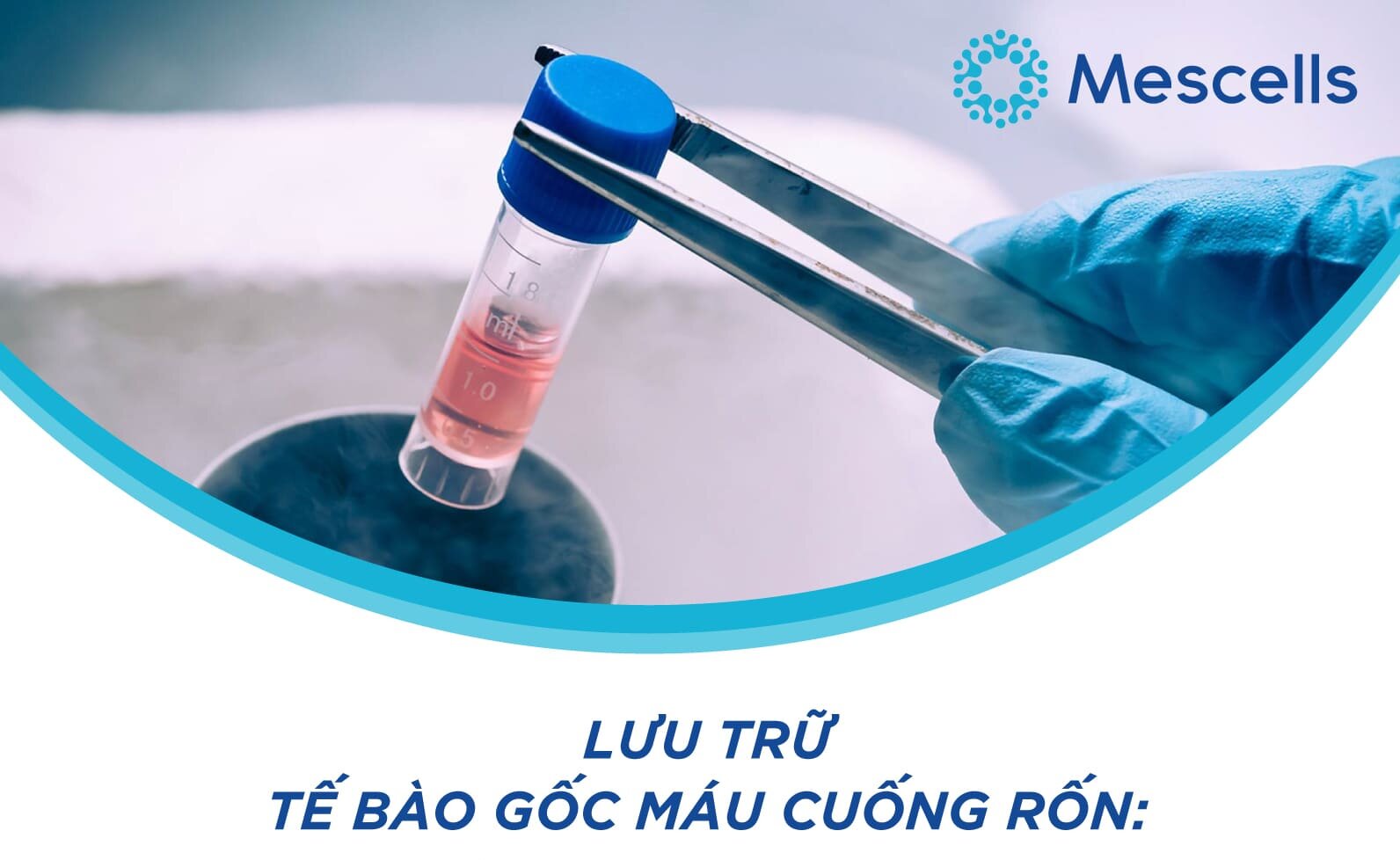 te-bao-goc-mau-cuong-ron-4