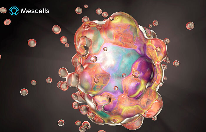 te-bao-goc-chua-duoc-nhung-benh-gi-1