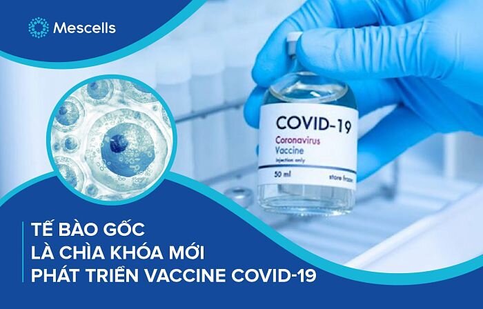 te-bao-goc-la-chia-khoa-moi-phat-trien-vaccine-covid19-1-1