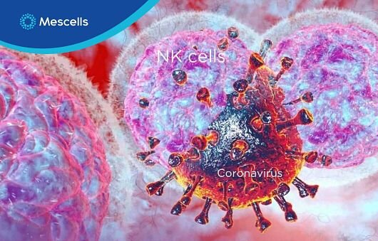 te-bao-goc-la-chia-khoa-moi-phat-trien-vaccine-covid19-3-1