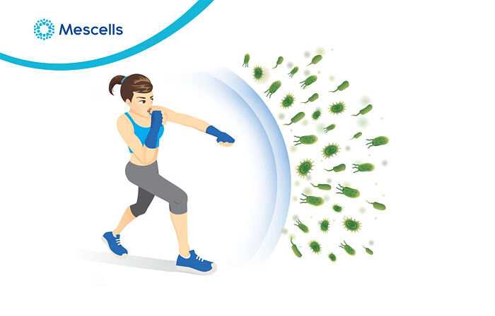 he-mien-dich-cua-co-the