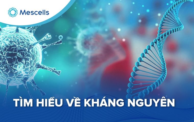 Kháng nguyên là gì-01