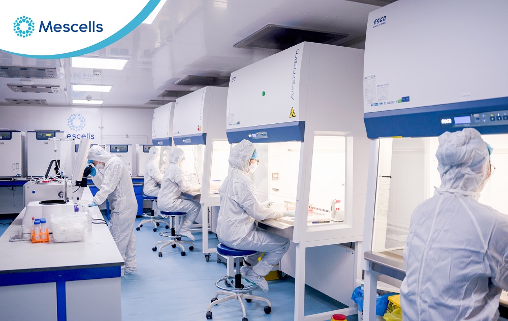 Liệu pháp tế bào gốc-06