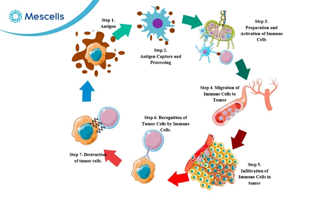 Miễn dịch đặc hiệu-05