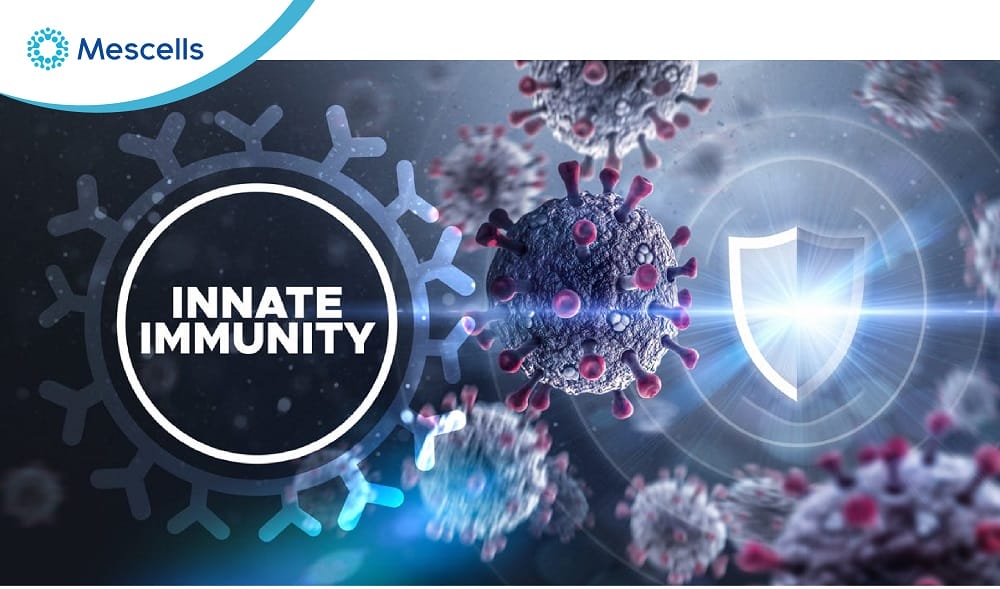 Miễn dịch không đặc hiệu là gì-02