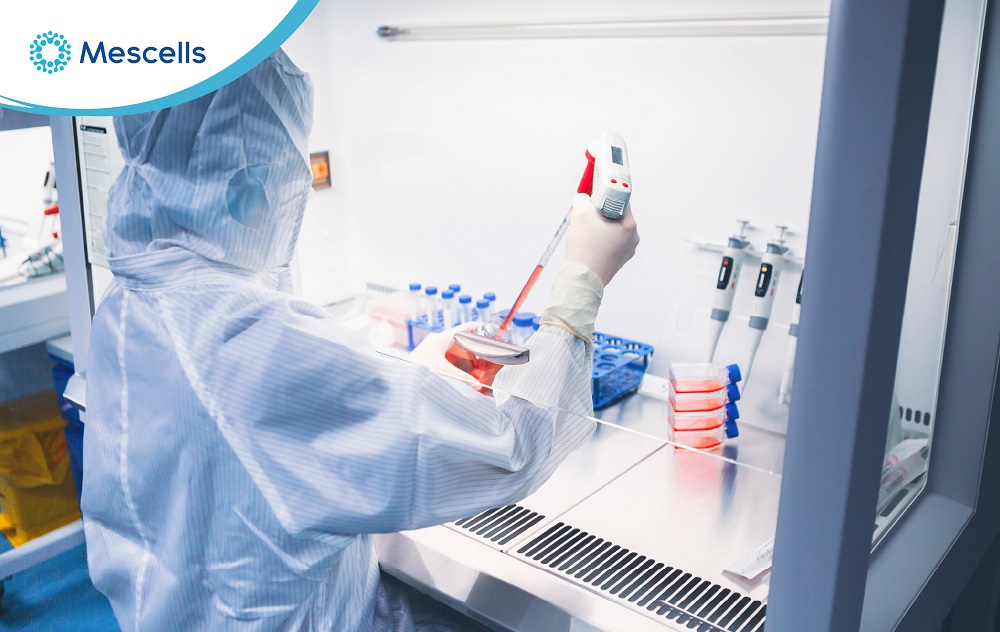 Tế bào gốc trưởng thành-06