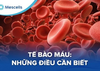 Tế bào máu Những điều cần biết-01