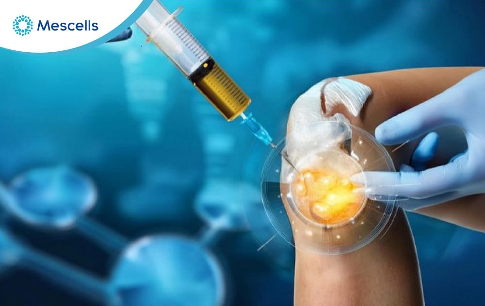 Tế bào máu Những điều cần biết-06