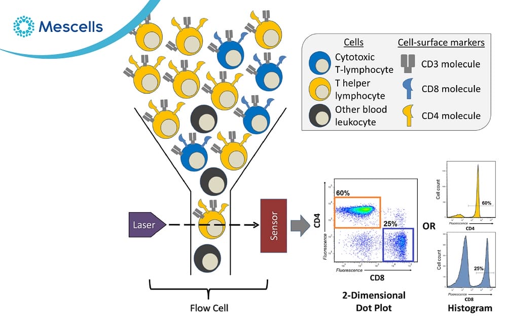 suy giảm miễn dịch-07