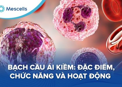 Bạch cầu ái kiềm-01