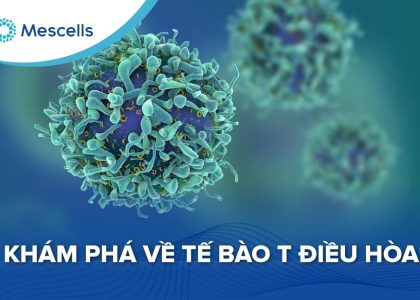 Khám phá về tế bào T điều hòa-01