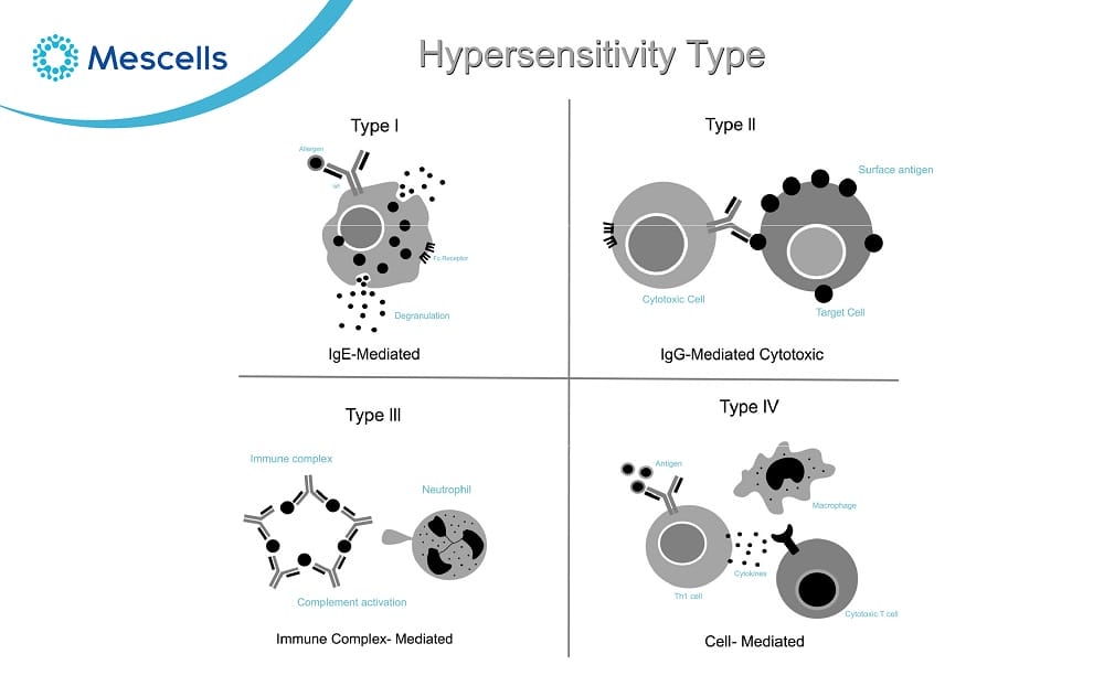 Phản ứng quá mẫn-04