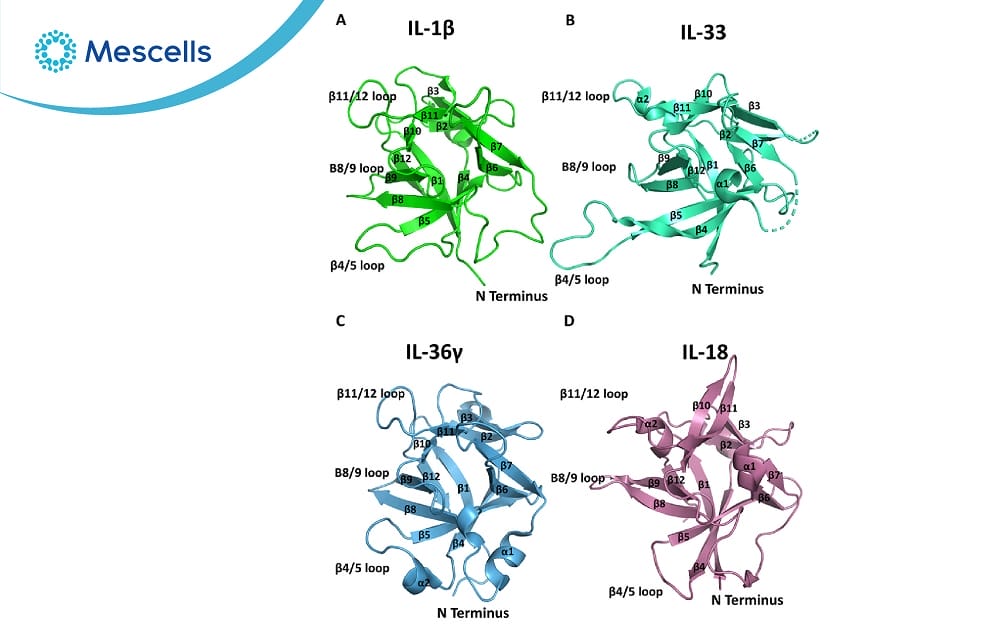 Hiểu đúng về cytokine-03