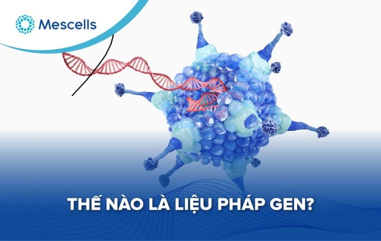 Liệu pháp gen là gì