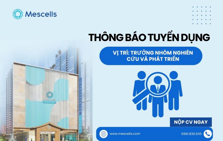 Mescells tuyển dụng Trưởng nhóm Nghiên cứu và Phát triển