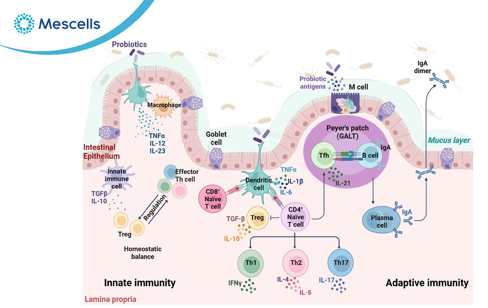 Tăng cường hệ miễn dịch-07