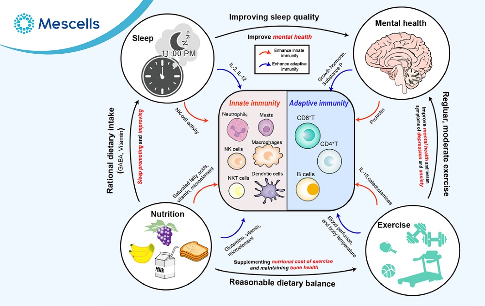 Tăng cường hệ miễn dịch-08