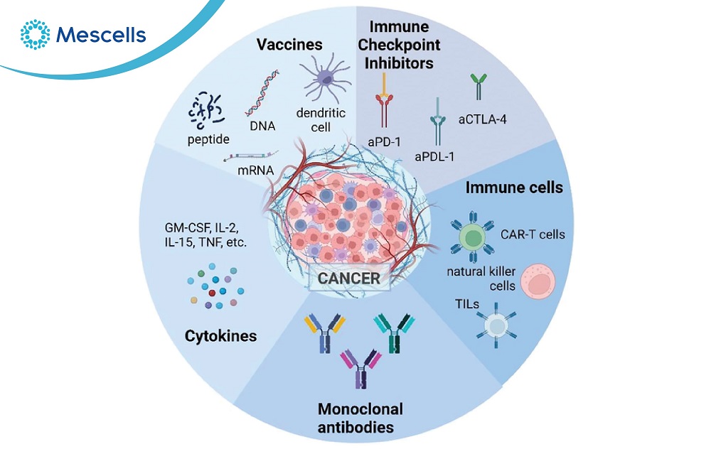Tăng cường hệ miễn dịch-09