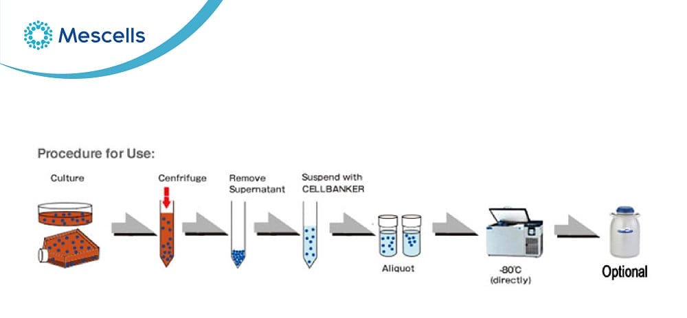 Bảo quản tế bào gốc
