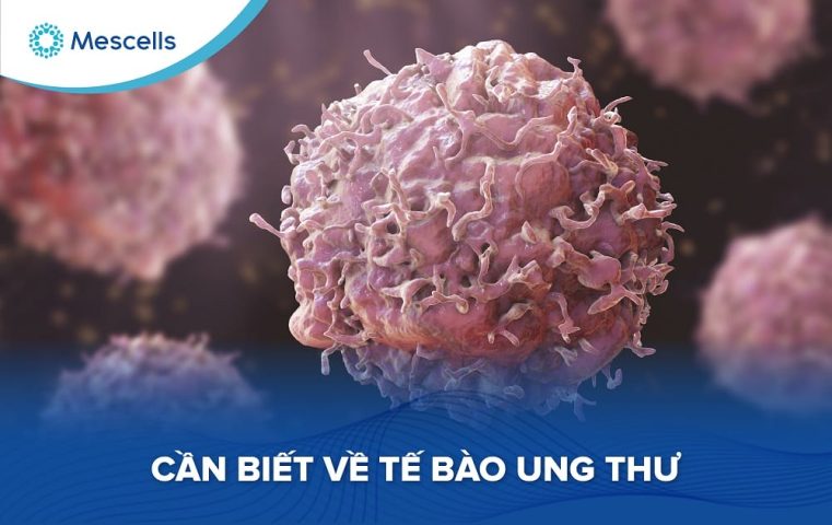 Cần biết về tế bào ung thư