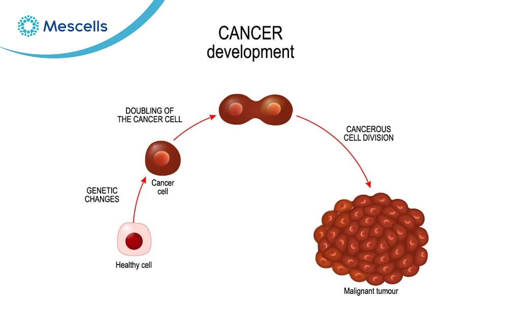 Cần biết về tế bào ung thư