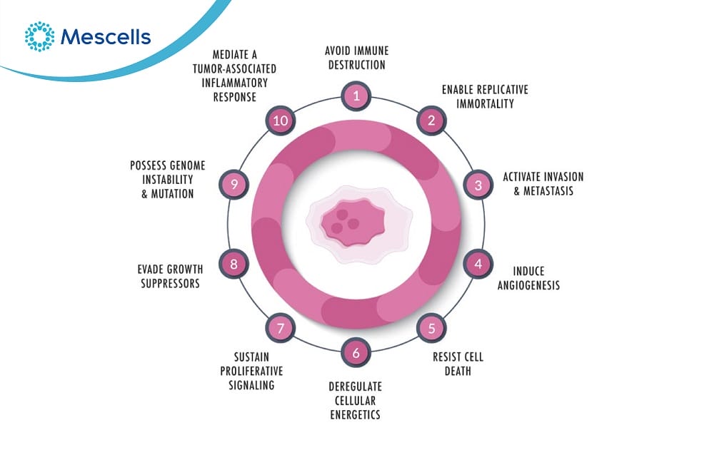 Cần biết về tế bào ung thư