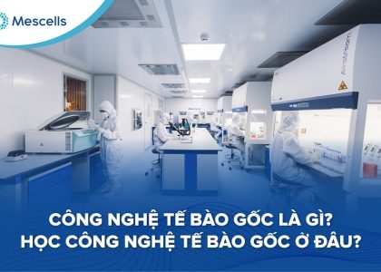 Học công nghệ tế bào gốc ở đâu-01
