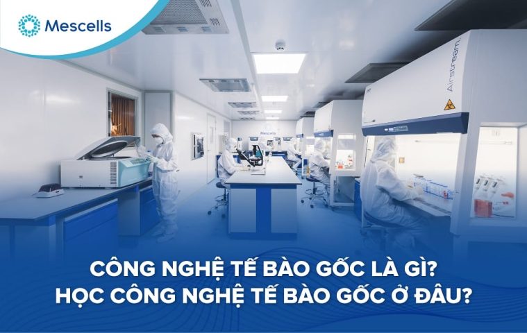 Học công nghệ tế bào gốc ở đâu-01