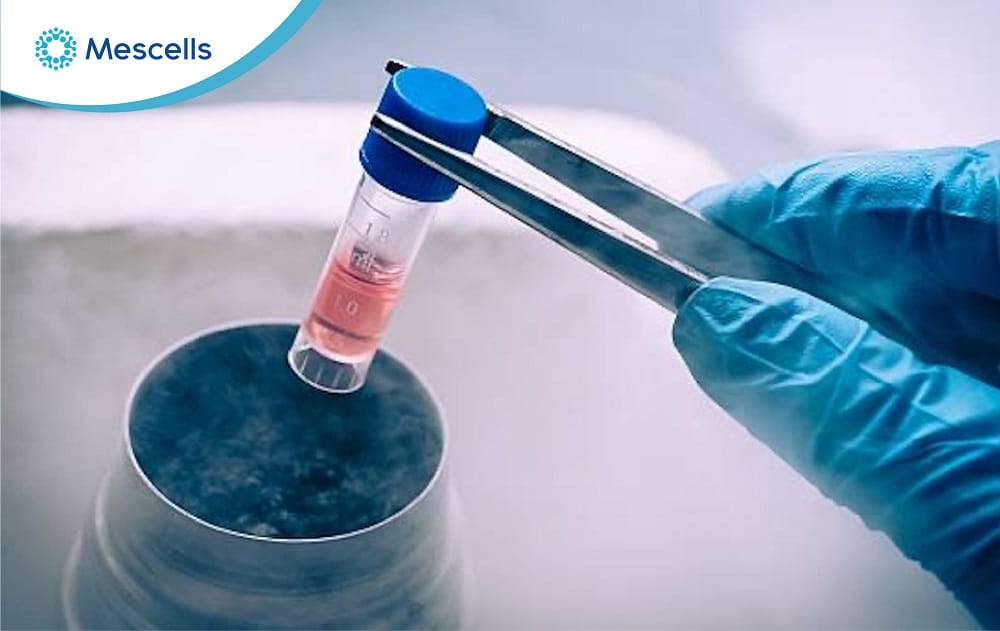 Học công nghệ tế bào gốc ở đâu-02